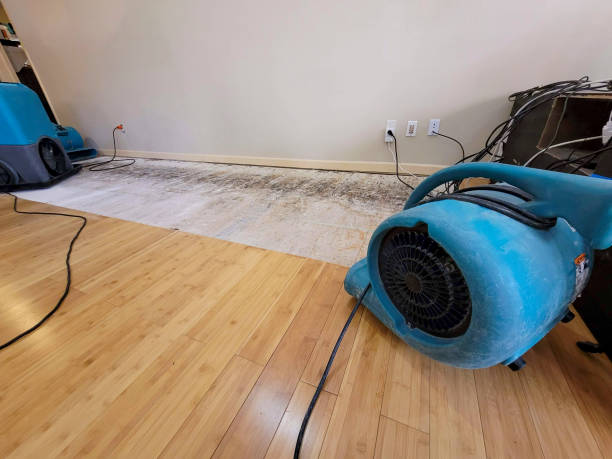Professional Water Damage Repair technician working in Hamden, OH